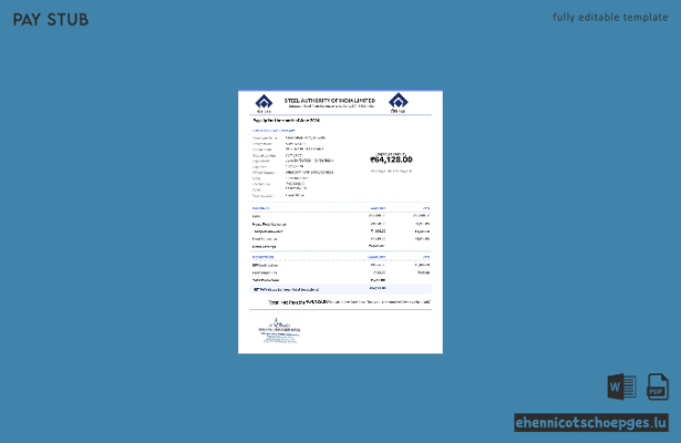 Gehaltsabrechnungsbeispiel der Steel Authority of India